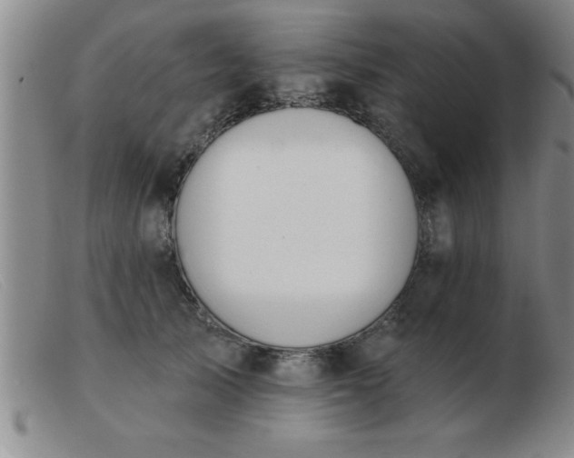 X0000103490705200809191922