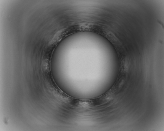 X0000103490706200809191922