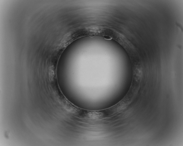 X0000103490707200809191922