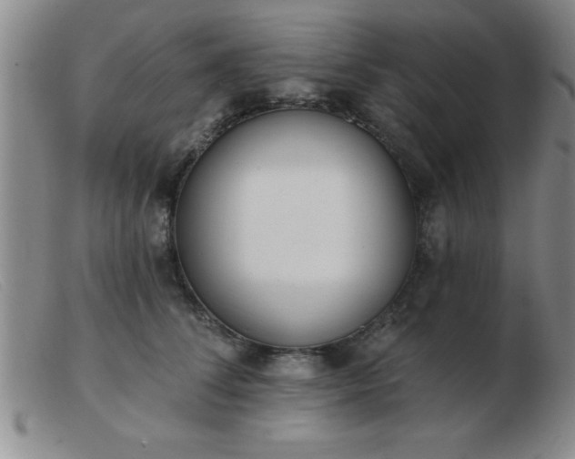 X0000103490708200809191922