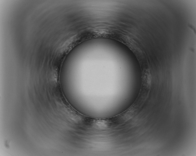 X0000103490710200809191922