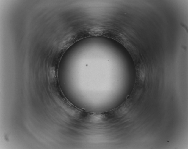 X0000103490711200809191922