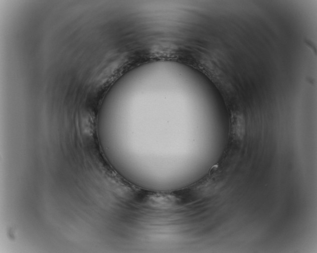 X0000103490712200809191922