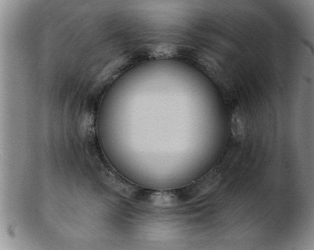 X0000103490714200809191922