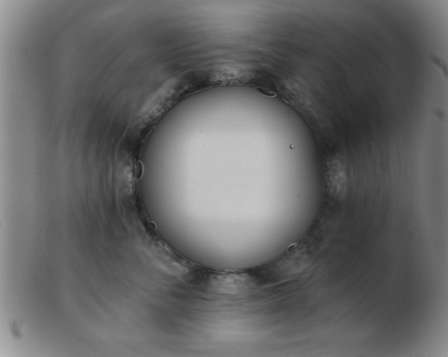 X0000103490716200809191922