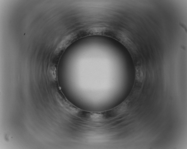 X0000103490718200809191922