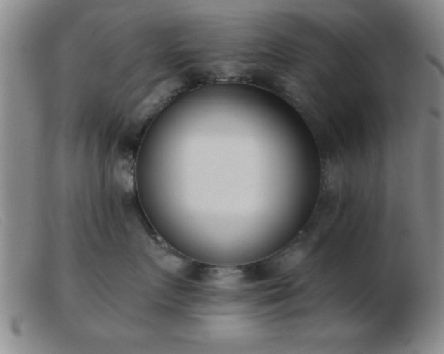 X0000103490719200809191922