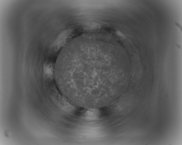 X0000103490720200809191922