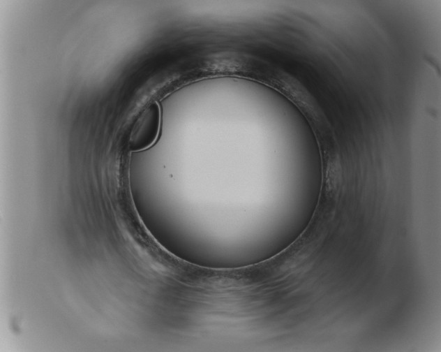 X0000103490722200809191922