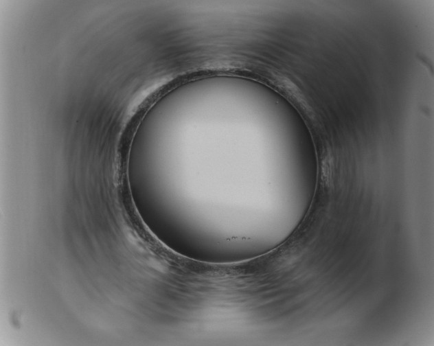 X0000103490724200809191922