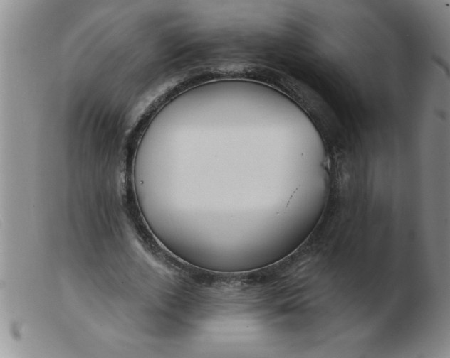 X0000103490728200809191922