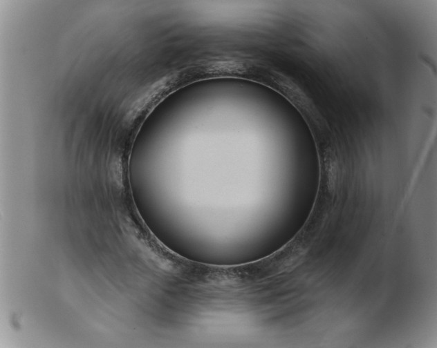 X0000103490729200809191922