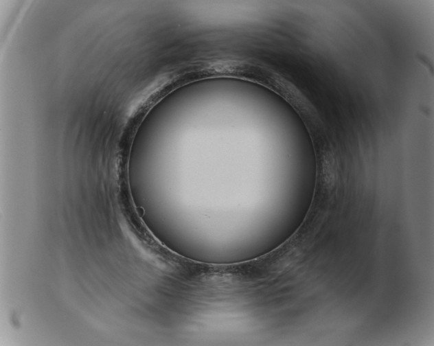 X0000103490730200809191922