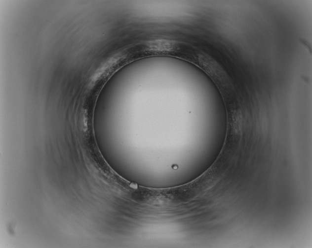 X0000103490731200809191922