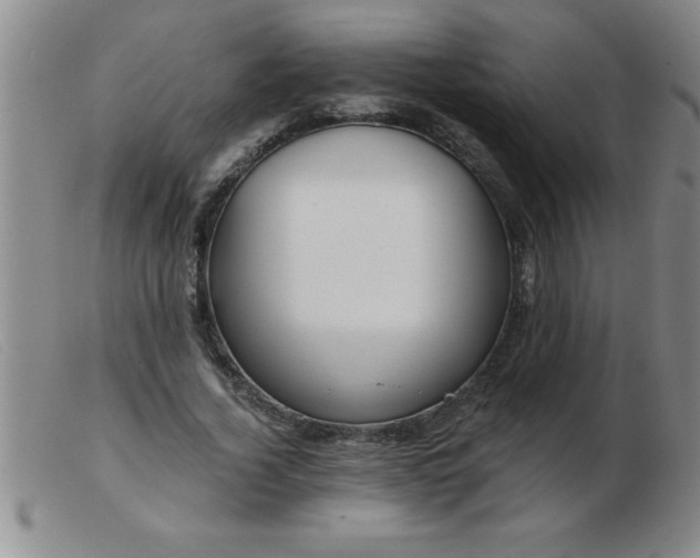 X0000103490732200809191922