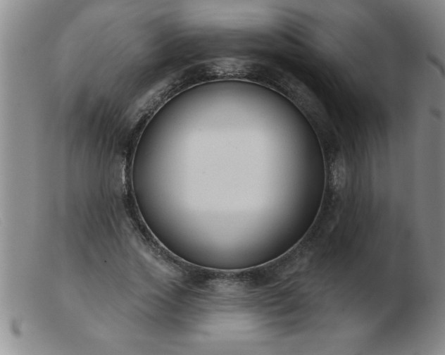 X0000103490733200809191922