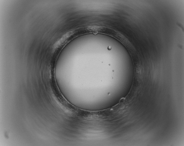 X0000103490734200809191922