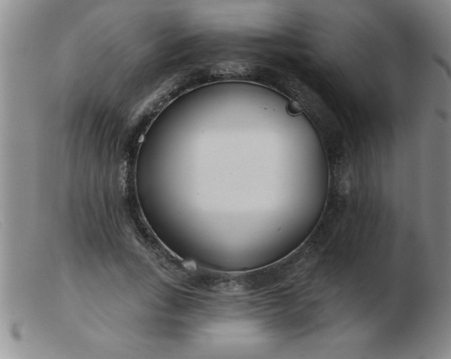 X0000103490735200809191922