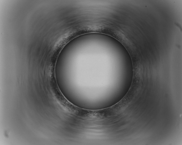 X0000103490736200809191922