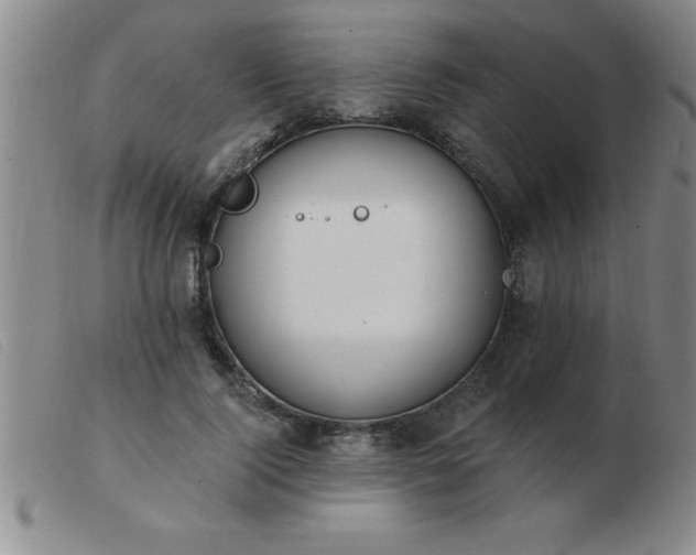 X0000103490740200809191922