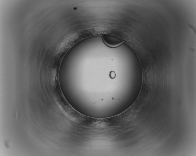 X0000103490742200809191922