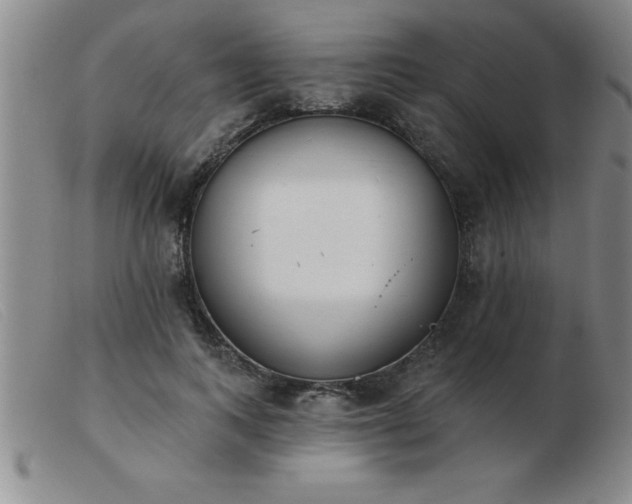 X0000103490743200809191922