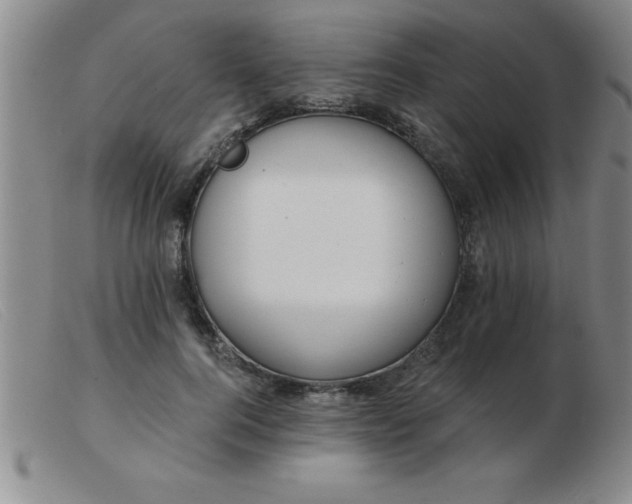 X0000103490744200809191922