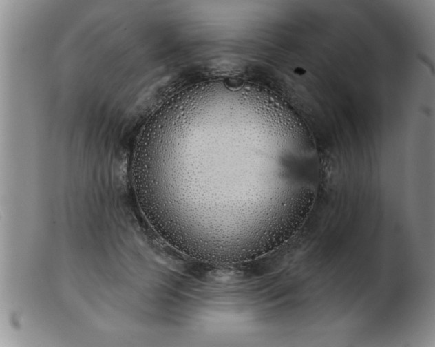 X0000103490745200809191922