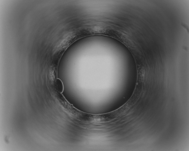 X0000103490746200809191922