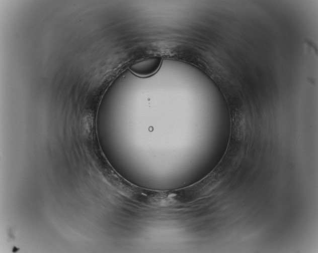 X0000103490747200809191922