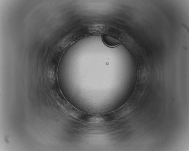 X0000103490749200809191922