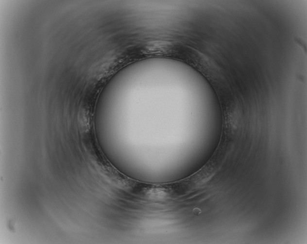 X0000103490751200809191922