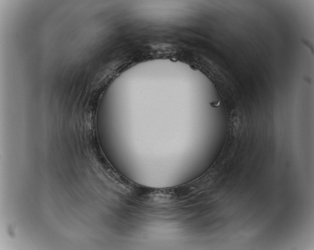 X0000103490756200809191922