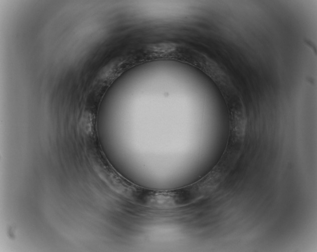 X0000103490758200809191922