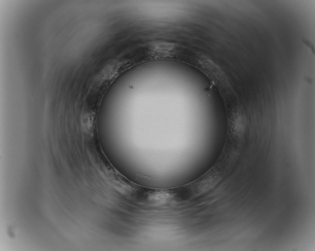 X0000103490759200809191922