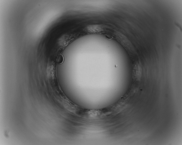 X0000103490762200809191922