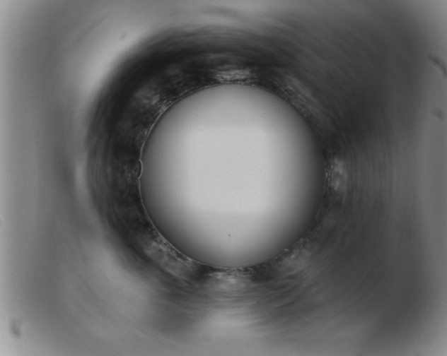 X0000103490763200809191922