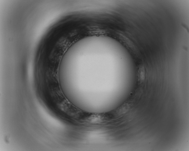 X0000103490764200809191922