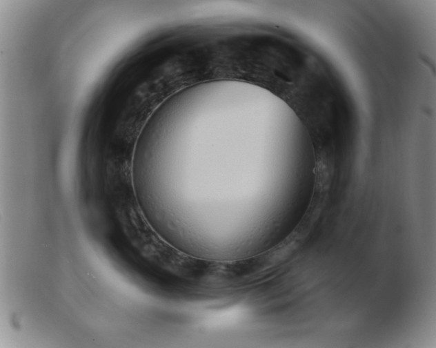 X0000103490765200809191922