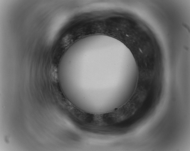 X0000103490766200809191922