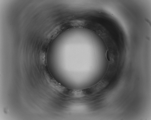 X0000103490767200809191922