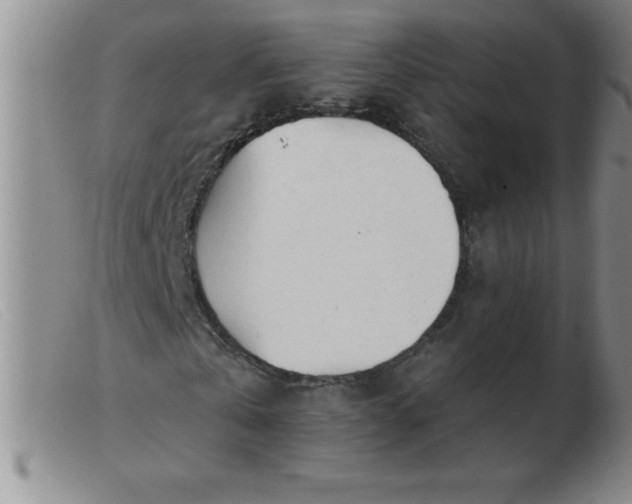 X0000103490769200809191921