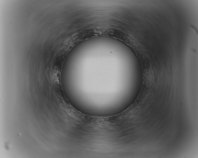 X0000103490770200809191921