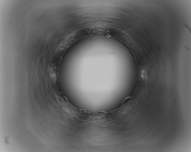 X0000103490771200809191921