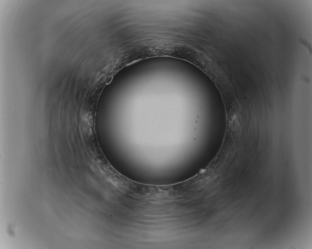 X0000103490772200809191921