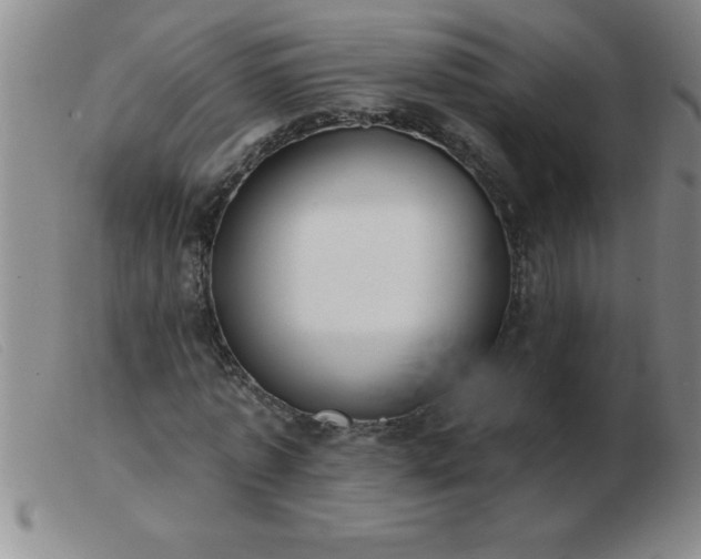 X0000103490773200809191921