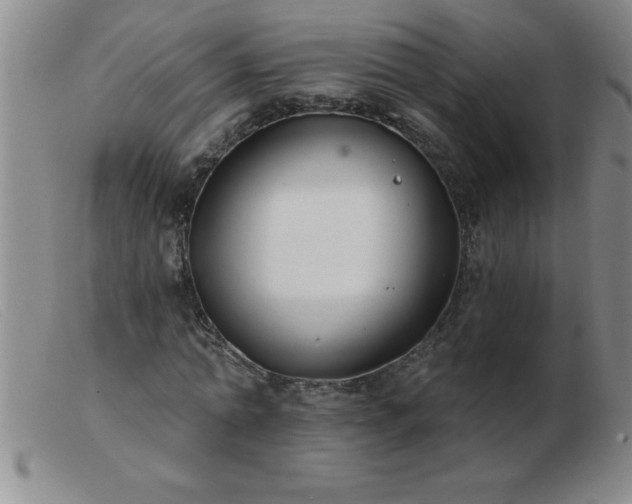 X0000103490774200809191921