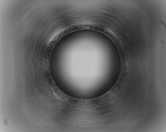 X0000103490775200809191921