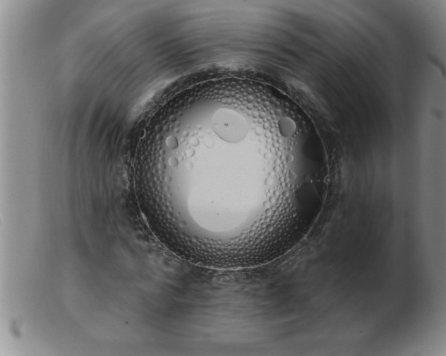 X0000103490776200809191921