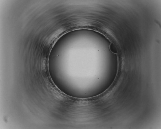 X0000103490777200809191921